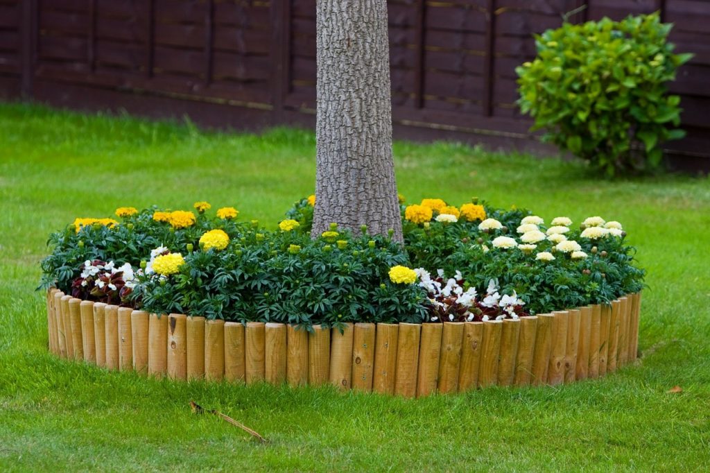 How to make a flower bed around a tree